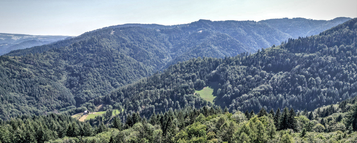 Schwarzwald