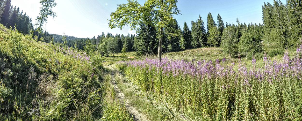 Naturschutz 2 Naturschutz 2